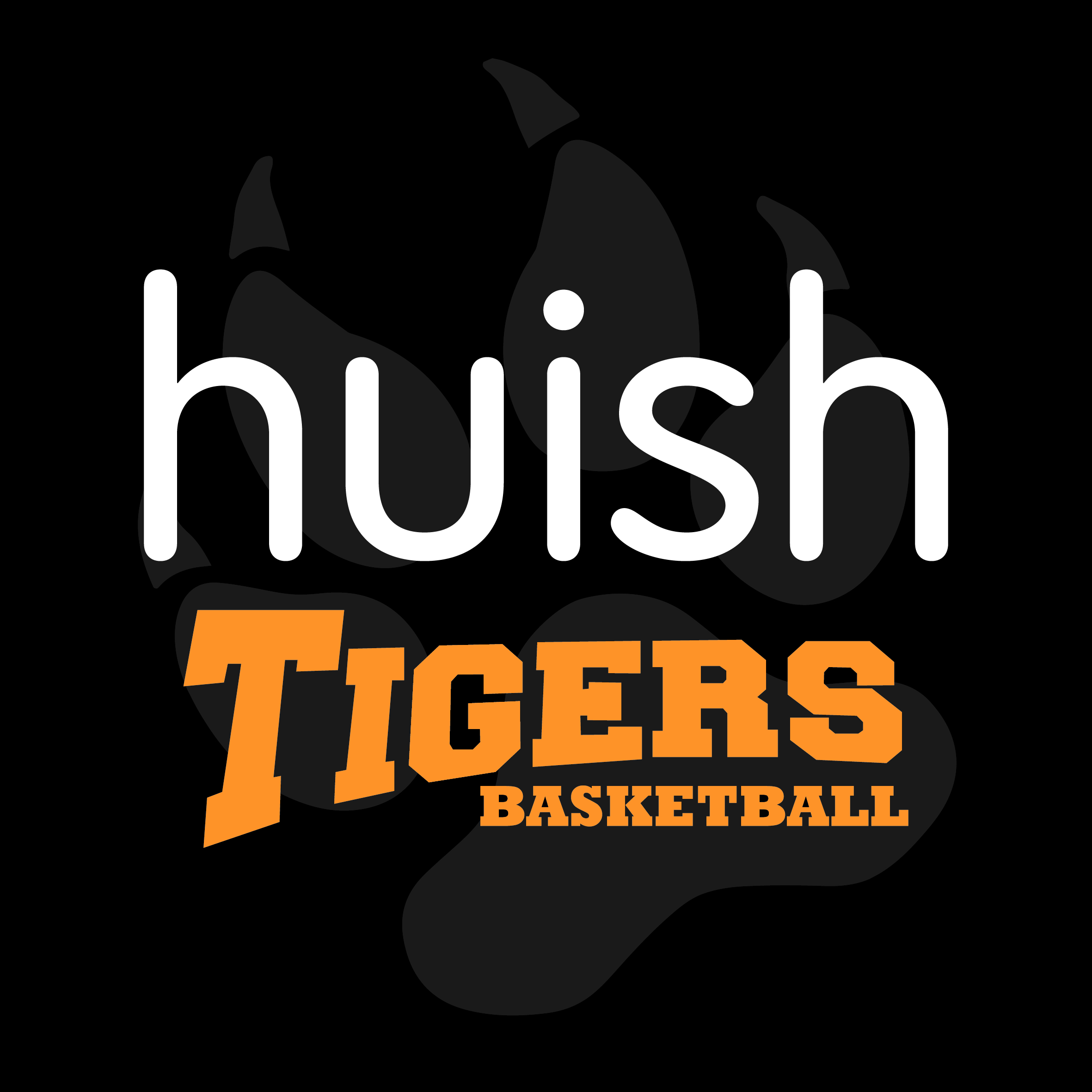 Huish Tigers Cubs Basketball aged 9-12